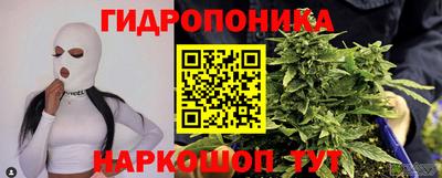 крисы Анжеро-Судженск