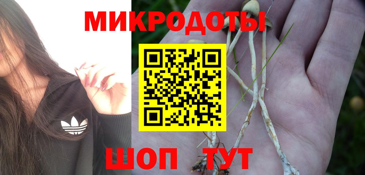 Псилоцибиновые грибы мухоморы  Псилоцибиновые грибы прущие грибы  Вход с VPN  Нальчик 